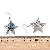 Paua Shell and 304 Stainless Steel Dangle Earrings EJEW-JE07471-03-5