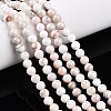 Natural Persian Jade Beads Strands G-A255-A02-04K-1