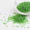 11/0 Grade A Transparent Glass Seed Beads X-SEED-Q007-F49-1