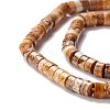 Natural Picture Jasper Beads Strands G-A201-A02-4