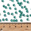 Glass Seed Beads SEED-H002-A-A617-4
