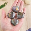 Natural Labradorite Palm Stones PW-WG69FB4-01-2