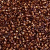 MIYUKI Delica Beads X-SEED-J020-DB1736-3