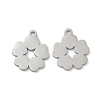 304 Stainless Steel Charms STAS-P433-01B-P-1