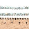 Natural Larimar Beads Strands G-F785-B01-01A-3