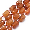 Natural Carnelian Beads Strands G-I245-04A-1