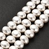 Electroplated Shell Pearl Beads Strands BSHE-C009-03A-2