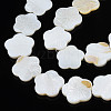 Natural Freshwater Shell Beads Strands SHEL-N026-188-3