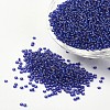 FGB 12/0 Grade A Transparent Silver Lined Round Glass Seed Beads X-SEED-A022-F12-74-1