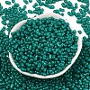 Baking Paint Glass Seed Beads SEED-L011-09A-03-2