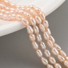 Natural Cultured Freshwater Pearl Beads Strands PEAR-P062-02A-2