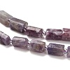 Natural Lepidolite/Purple Mica Stone Beads Strands G-K245-I16-01-4