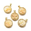 Brass with Natural Shell Carved Pendants KK-Z091-01G-02-1