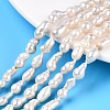 Natural Baroque Pearl Keshi Pearl Beads Strands PEAR-S020-F10-01-1