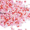 Glass Seed Beads SEED-K010-03P-1