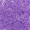 12/0 Glass Seed Beads SEED-A014-2mm-135B-2
