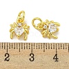 Rack Plating Brass Micro Pave Cubic Zirconia Spider Charms ZIRC-I065-02H-3