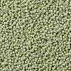 MIYUKI Round Rocailles Beads SEED-G008-RR4473-3