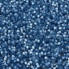 MIYUKI Delica Beads SEED-JP0008-DB1811-3