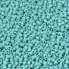 MIYUKI Delica Beads SEED-X0054-DB1586-3