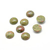 Natural Unakite Gemstone Cabochons X-G-T020-16mm-18-1