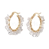 3 Pairs 3 Size Natural Quartz Crystal Chips Hoop Earrings EJEW-JE05710-03-4