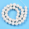 Natural Cultured Freshwater Pearl Beads Strands PEAR-N016-11B-3