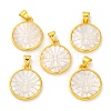 Natural White Shell Carved Moth Pendants KK-D537-04G-02-1