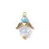 Acrylic Beads with Glass Beads Pendants PALLOY-MZ00699-3