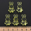 Transparent Acrylic Beads LS-MACR-S373-81-B06-5