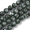 Natural Seraphinite Beads Strands G-C270-O01-07-2