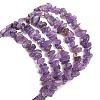 5Pcs 5 Style Natural Amethyst Chips Stretch Bracelets Set BJEW-JB09551-01-3