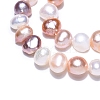 Natural Cultured Freshwater Pearl Beads Strands LS-PEAR-T003-10-4