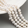 Natural Cultured Freshwater Pearl Beads Strands PEAR-C003-13B-2