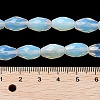 Opalite Beads Strands G-P520-C23-01-5