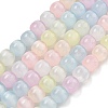 Macaron Color Natural Selenite Beads Strands G-B103-A01-01-1