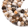 Natural Petrified Wood Beads Strands G-C259-A29-5x8mm-4