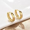 Triangle Brass Hoop Earrings EJEW-F359-10G-04-1