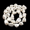 Shell Pearl Beads Strands BSHE-C008-01-5