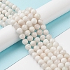 Natural Grey Moonstone Beads Strands G-I279-C01-10mm-A-4