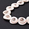 Natural Spiral Shell Beads Strands SSHEL-G023-06-4