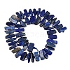 Natural Lapis Lazuli Beads Strands G-K393-B05-3