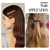 2Pcs 2 Colors Cellulose Acetate and Iron Hair Barrettes for Women Girl PHAR-TADJ0001-01B-6