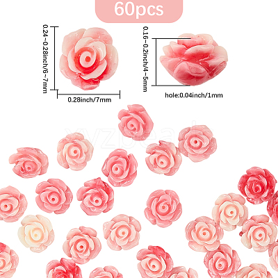 60Pcs Synthetic Shell Dyed Beads SHEL-PA0001-01B-1