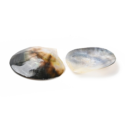Natural Black Lip Shell BSHE-Z003-42-1