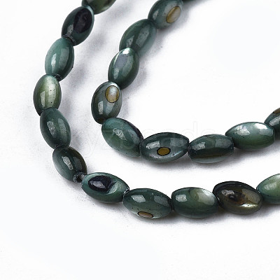 Natural Freshwater Shell Beads Strands X-SHEL-N003-25-B01-1