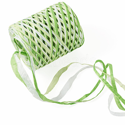 Raffia Twine Yarn OCOR-TAC0025-009D-1