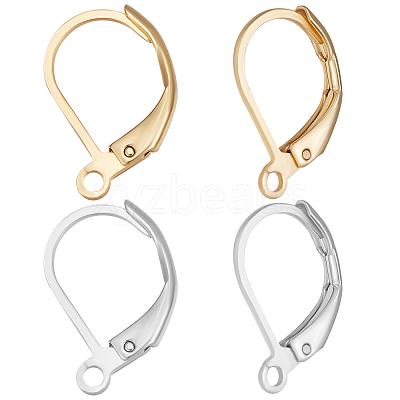 100Pcs 2 Style 304 Stainless Steel Leverback Earring Findings STAS-BBC0002-57-1