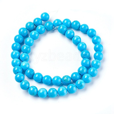 Natural Magnesite Beads Strands TURQ-P027-28A-8mm-1