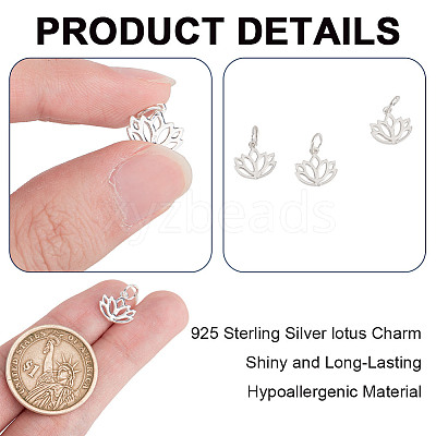 6Pcs Hollow 925 Sterling Silver Charms STER-DR0001-35-1